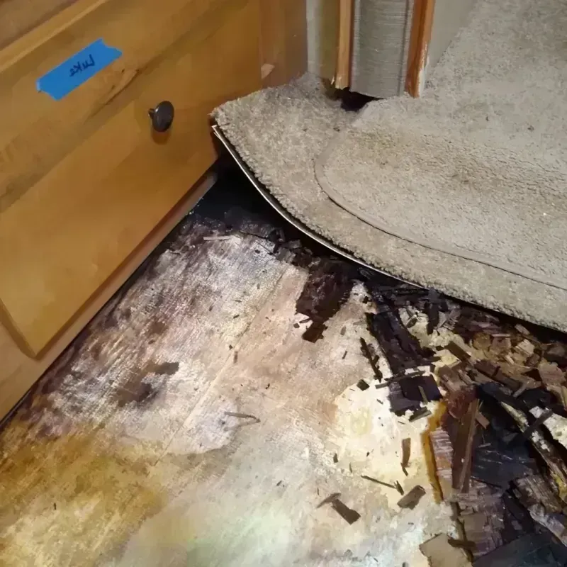 Wood Floor Water Damage in Shelby County, IN